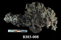 藏品(繩狀熔岩)的圖片